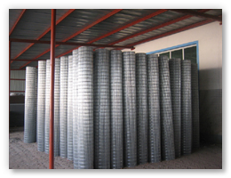 Welded Wire Mesh